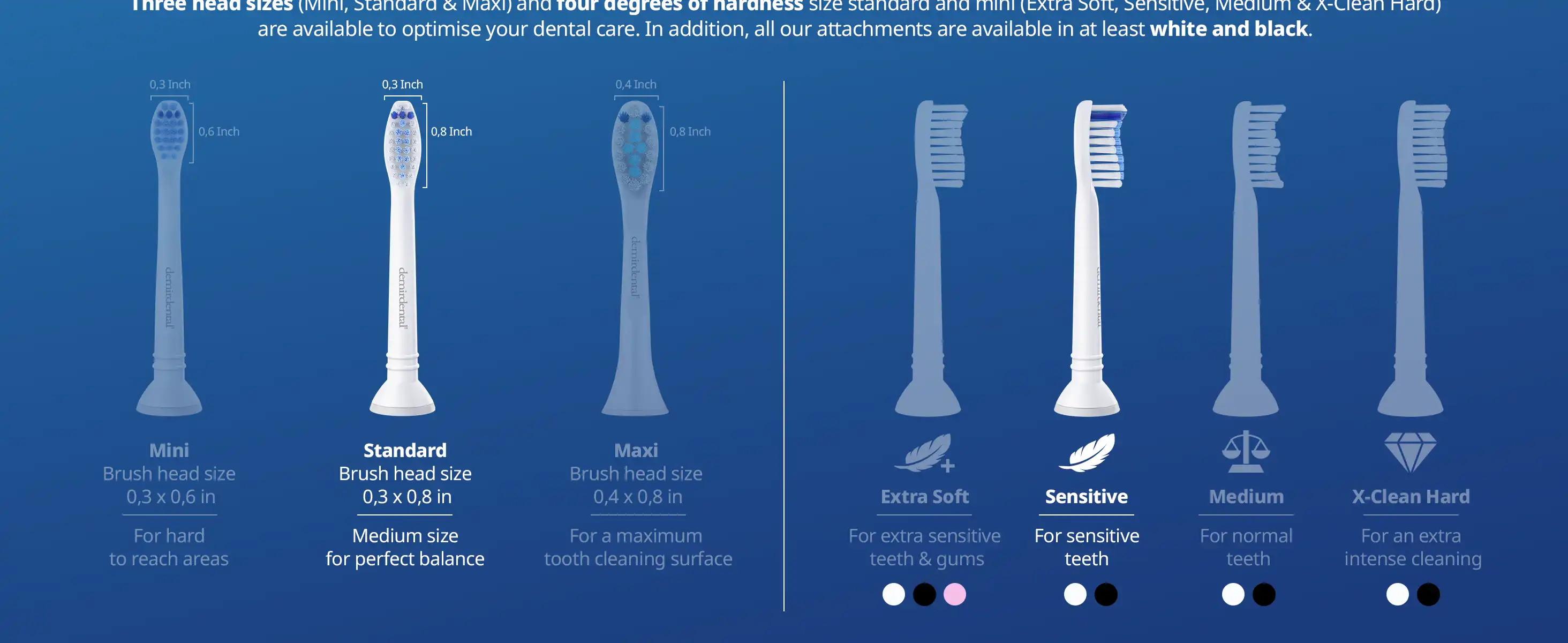 demirdental Medium Aufsütze für Philips Sonicare Ersatzbürsten
